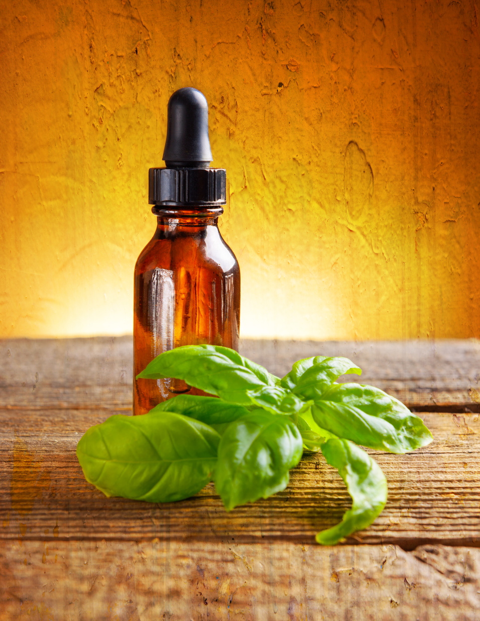 Basil oil